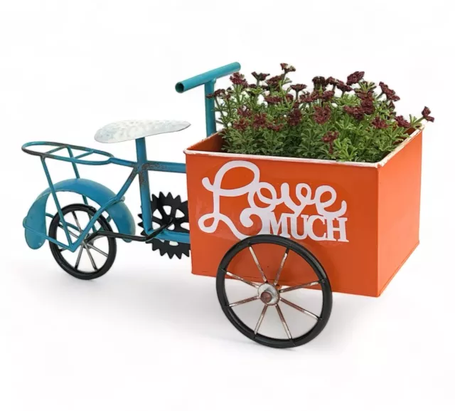 Blumenfahrrad per Giardino Metallo IN Piedi Bicicletta Blu Arancione 96530