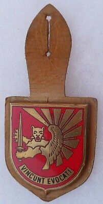 Lot Insignes Promotion EOR Armée De L'Air – Épaulettes Caen / Delsart (Maroc)