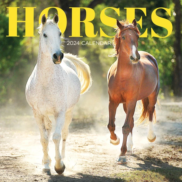 2024 HORSES WALL Calendar $16.99 - PicClick