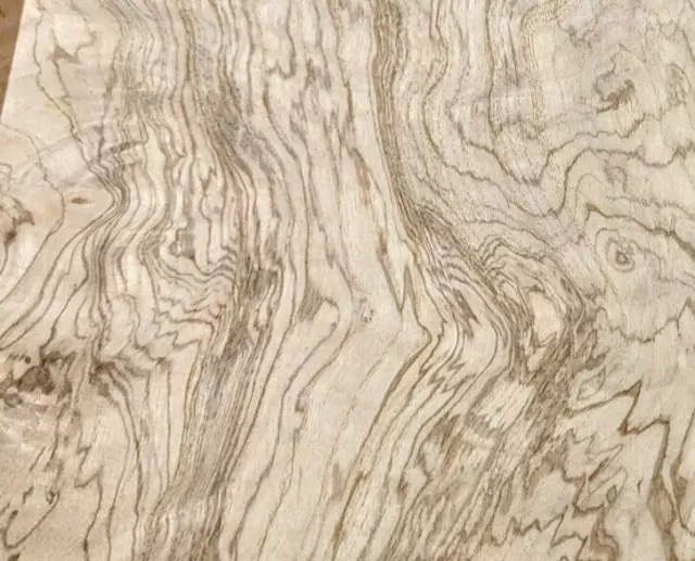 Olive Ash Burl real wood veneer 10" x 9" with paper backer AA grade 1/40" thick