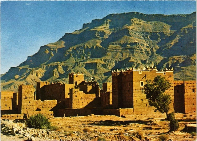 CPM AK MAROC Le MAROC Pittoresque. Dans la Vallée du Draa (342731)
