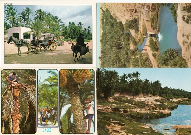 Lot 4 cartes postales anciennes TUNISIE TUNISIA GABES