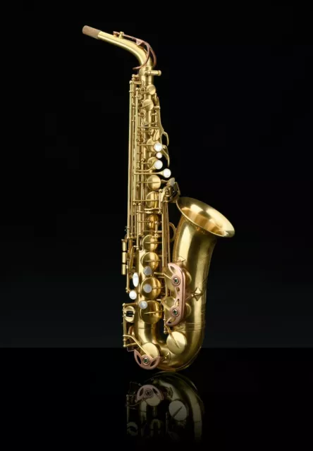 Neuf RAMPONE & CAZZANI Alto Saxophone - Soliste En Cuivre Avec / 24K Doré Plaque