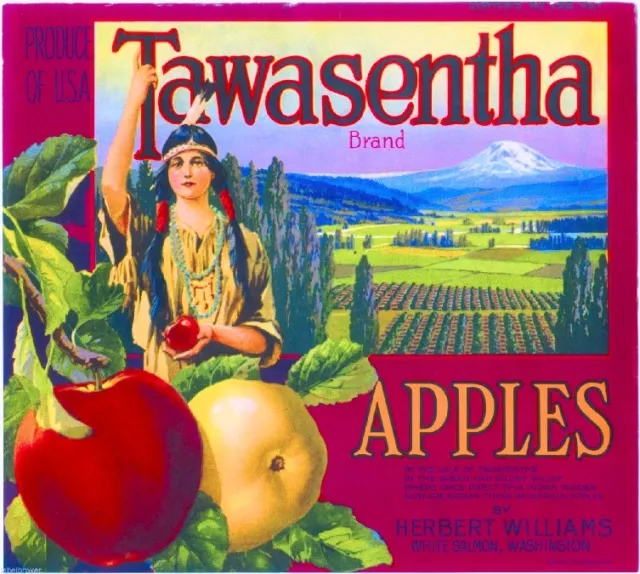 White Salmon Washington Tawasentha Apple Fruit Crate Box Label Art Print