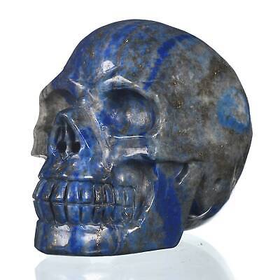 Artículos de colección de curación de cráneo de lapislázuli natural de 3,58" #31W11
