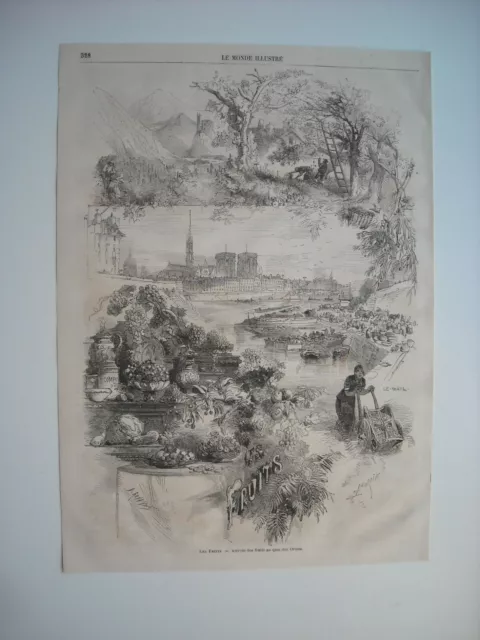 Gravure 1865. Paris. Arrivee Des Fruits Au Quai Des Ormes, Sur Rives De La Seine