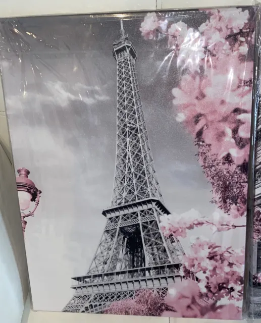 Paris Eiffel Tower & More Lot Of 3  Black, White, And Pink Canvas Painting 2