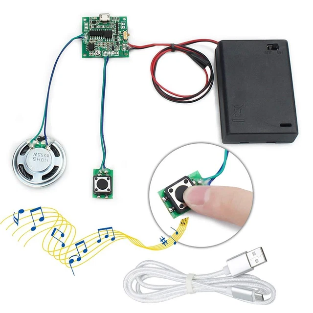Module Vocal Enregistrable 60 Secondes - Avec Câble Extension 10 Cm Pour Cartes Cadeaux DIY