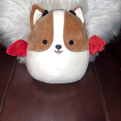 reginald the corgi