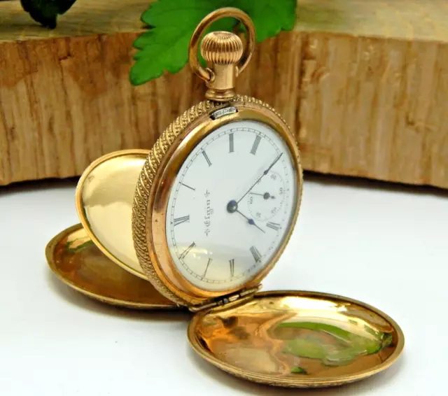 Antique Ladies 6 size Elgin Hunting Case Gold Plated Pocket watch gr 206 7 jewel