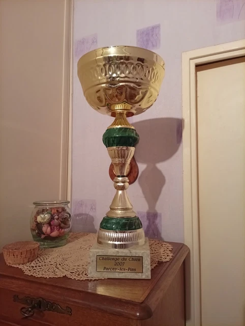 COLLECTION OR REPLIQUE 3/4 26cm RESINE TROPHEE FOOTBALL COUPE DU MONDE