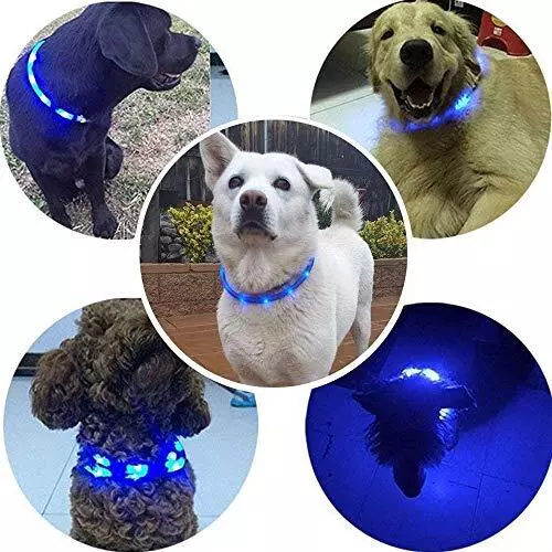 Collier de Chien à LED KABB USB Rechargeable Night Safety Dogs Collier de Chi... 3