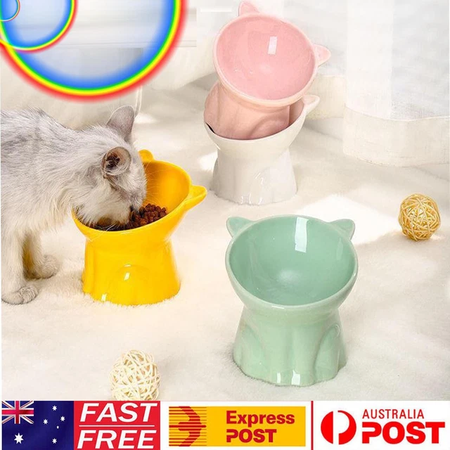 Tilted Elevated Cat Bowl Ceramic Cat Dog Bowl Dish Pet Food Feeder Raised Bowls