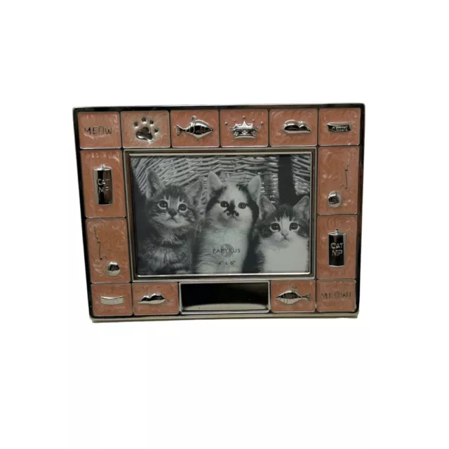 Picture Frame - Adorable from Cats!