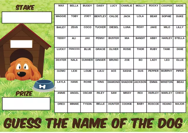 GUESS THE NAME OF DOG FUNDRAISING SCRATCHCARD RACE NIGHT GAME 100 Squares puppy