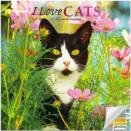 I LOVE CATS Calendar 2024 Deluxe 2024 Cats Wall Calendar Bundle with