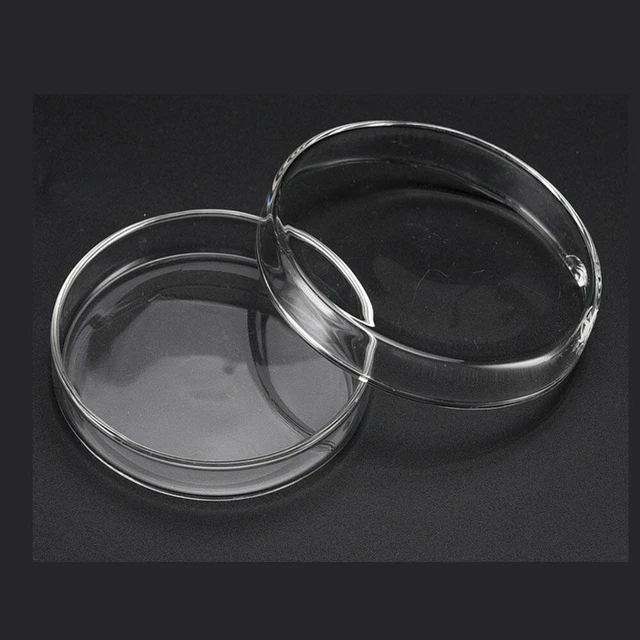 5 Pcs Clear Glass Tissue Culture Plate Clear Tissue Culture Plate  Laboratory