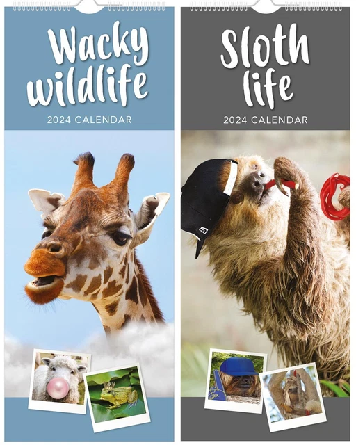 SLIM 2024 CALENDAR Wall Twin Pack Sloth Wildlife Funny Xmas £3.49