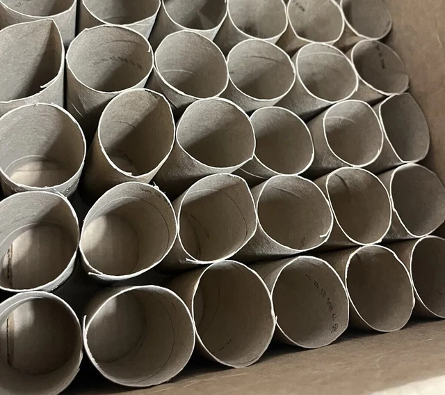 95 tubos de papel higiénico vacíos tubos de cartón limpios artesanía suministros de arte proyectos