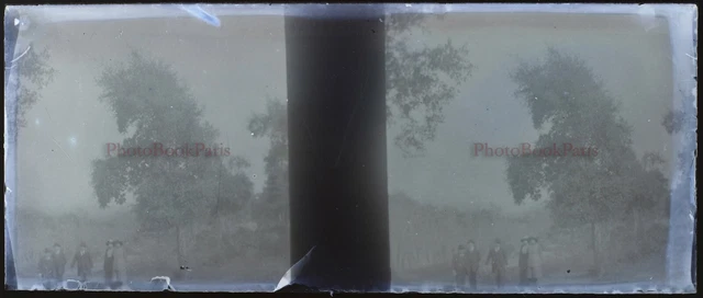 FRANCE c1900 Photo NEGATIVE Stereo Glass Plate VL15p2