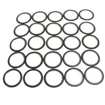 Newstar S-28093 Exhaust Gasket, Egr