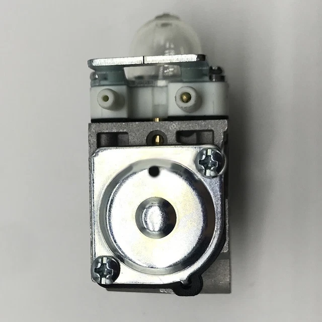 Carburateur Pour Souffleur De Feuilles Echo - Compatible PB8010, PB9010 Et Autres Modèles, Installation Facile, Performance Optimisée