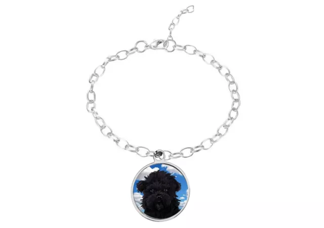 Affenpinscher Dog code35 DOME on a silver Anklet / Bracelet jewellery gift