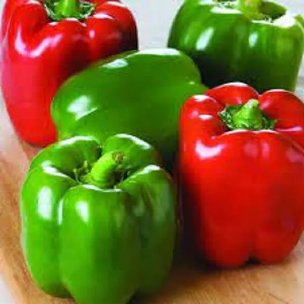 Giant Keystone Sweet Bell Pepper Seeds- Open Pollinated- COMBINED SHIPPING