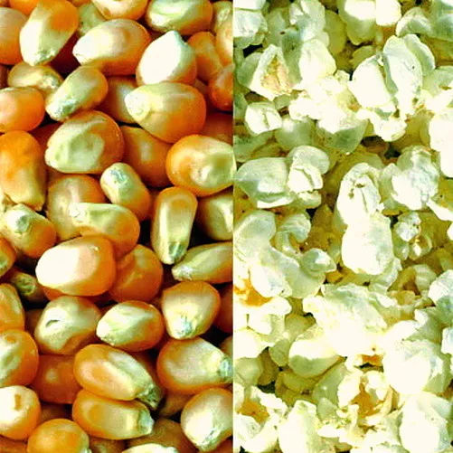 AIRPOP Popcorn Mais SÜSS SALZIG VANILLE mit Geschmack Popcorn Maschine Automat 2