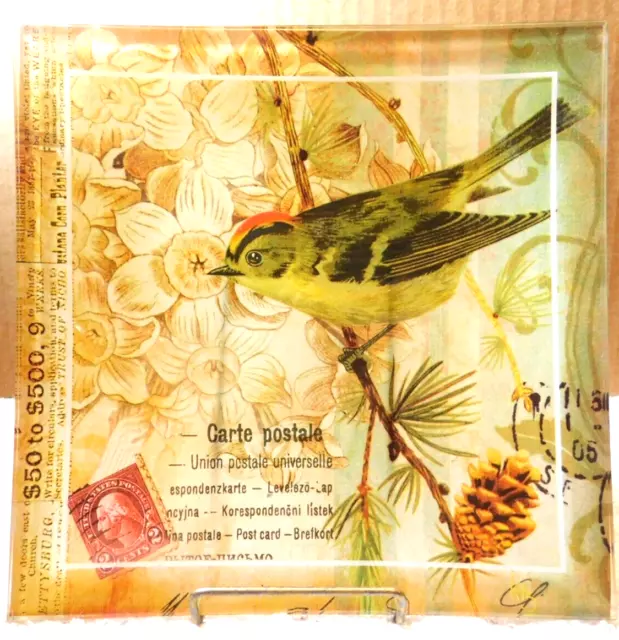 Placa~Tarjeta postal cuadrada vidrieras pájaro 9"" x 3/4"" individual