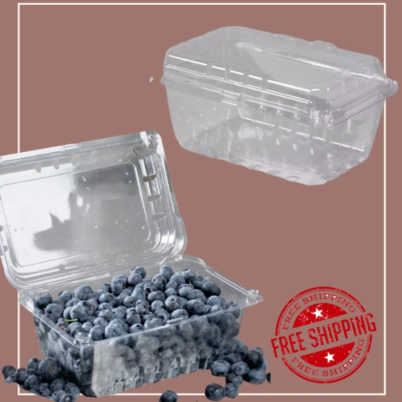 1 lb. - 352 Case Clear Square Vented Clamshell Produce Berry Container