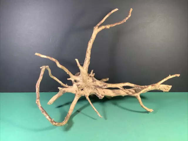Spider Wood | LG | Aquatic Driftwood | 12" x 9.5" x 7" | Never used | Nice shape