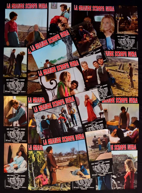 FOTOBUSTE LA GRANDE SCROFA NERA rada rassimov mark frechette F206 EUR