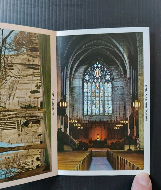 Vintage Princeton University 1965 Fold-Out Postcard 14 Views 9