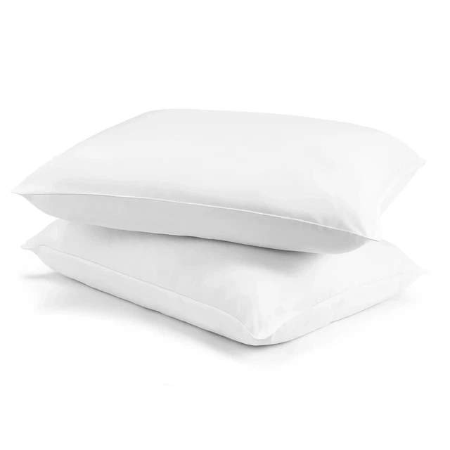 Mainstays Plush Microfiber Bed Pillows, 2 Pack, King-sized Freeship