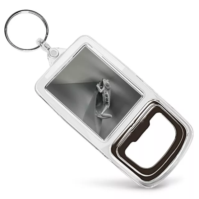 Bottle Opener Keyring BW - Eyed Tree Frog Jungle  #38719