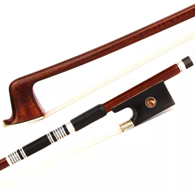 Master Carbon Fiber Pernambuco Skin Violin Bow 4/4 Ebony New eye Frog Light Fast