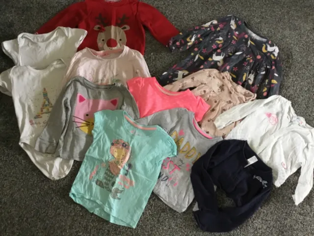 Baby girl clothing bundle covering age 9-18 months 12 items includes dress tops 