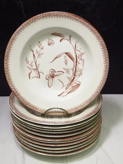 12 T & R Boote Brown Transferware Summer Time Rimmed Soup Bowls Butterfly