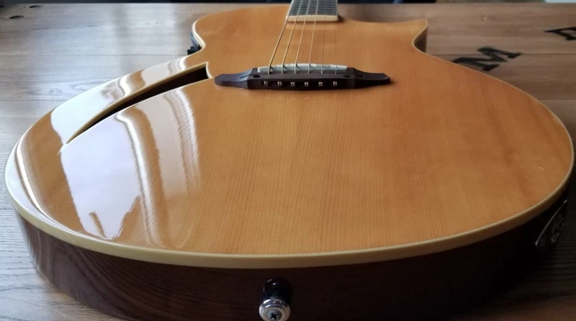 Guitare électro acoustique ESP LTD TL-6 NAT 5