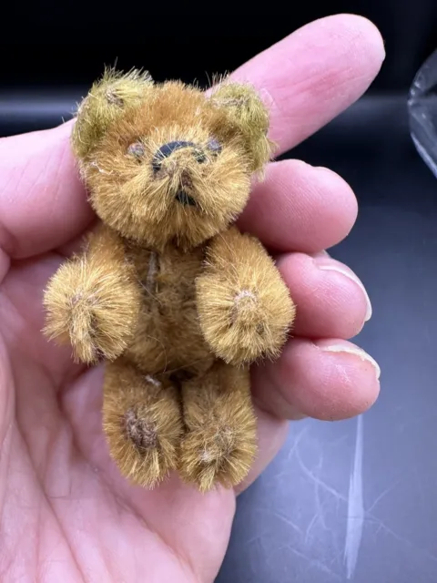 Schuco Miniature Teddy Bear 2.5" 6.5cms Golden Mohair Metal Frame Rare Bear