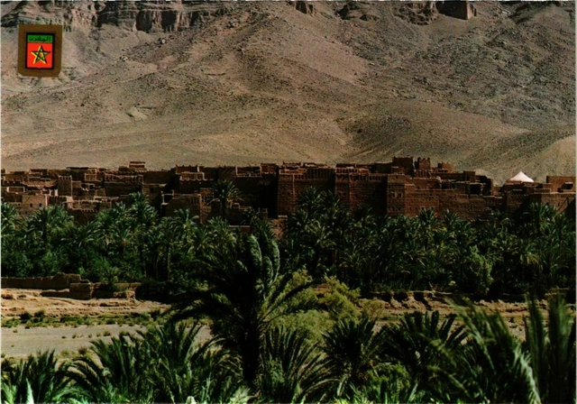 CPM AK Zagora- vallee du Draa MAROC (881366)
