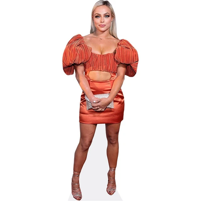 Jamie Vardy (Book) Silhouette En Carton