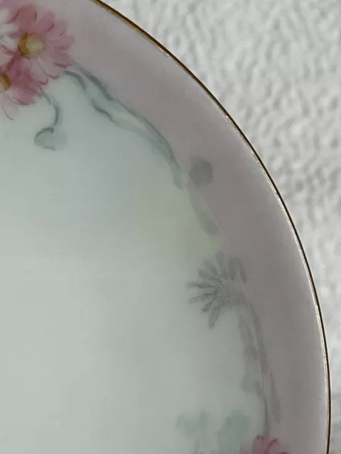 Antique Thomas Sevres Signed Plate Gorgeous Pink Daisies c1908-1911 Great Cond. 3