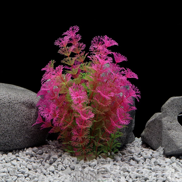 Lotto Xbox 360 - Console E Videogiochi In Vendita A Roma - Foto 9