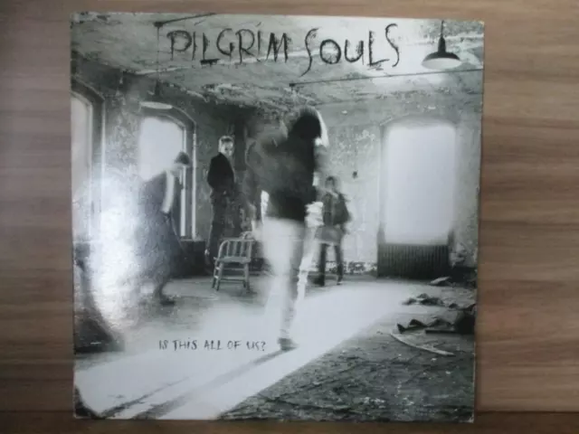 Pilgrim Souls ‎– Is This All Of Us?  Vinyl LP Album UK 1989 Alt Rock CBS 4634671