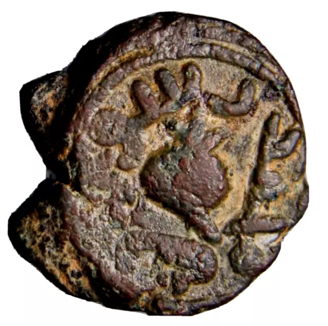 CERTIFIED AUTHENTIC Medieval Islamic Coin Umayyad Palestine Pomegranate #2 CERTIFIED AUTHENTIC Medieval Islamic Coin Umayyad Palestine Pomegranate #2