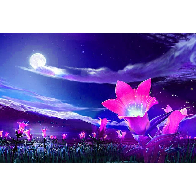 Paisaje nocturno 50x40 cm pintura al óleo por números imagen hágalo usted mismo pintura M491