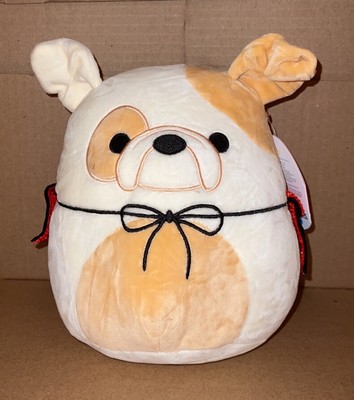 squishmallow brock