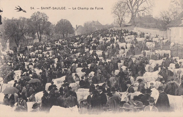 CPA 58 BOURGOGNE NIEVRE près Nevers SAINT-SAULGE Champ de Foire Marché au Bétail